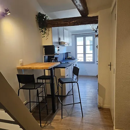 Iris, 4 Personnes, Centre Pieton Ecusson, Tram, 3eme Etage Sans Ascenseur アパート