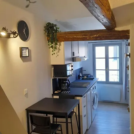 Iris, 4 Personnes, Centre Pieton Ecusson, Tram, 3eme Etage Sans Ascenseur Apartment