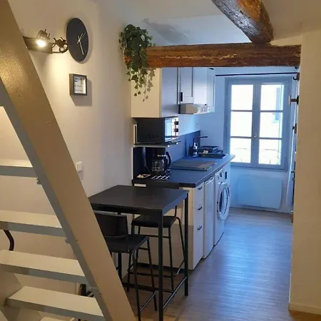 Apartment Iris, 4 Personnes, Centre Pieton Ecusson, Tram, 3eme Etage Sans Ascenseur