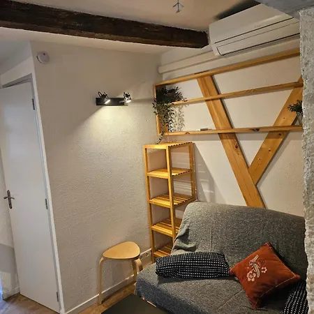Iris, 4 Personnes, Centre Pieton Ecusson, Tram, 3eme Etage Sans Ascenseur Apartment
