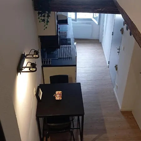 Apartment Iris, 4 Personnes, Centre Pieton Ecusson, Tram, 3eme Etage Sans Ascenseur